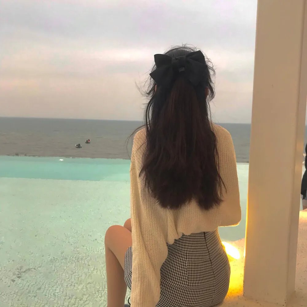 马拉喀尔：阿拉伯海狮