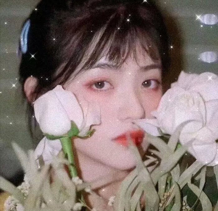 白日梦与她